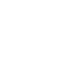 Digital Network